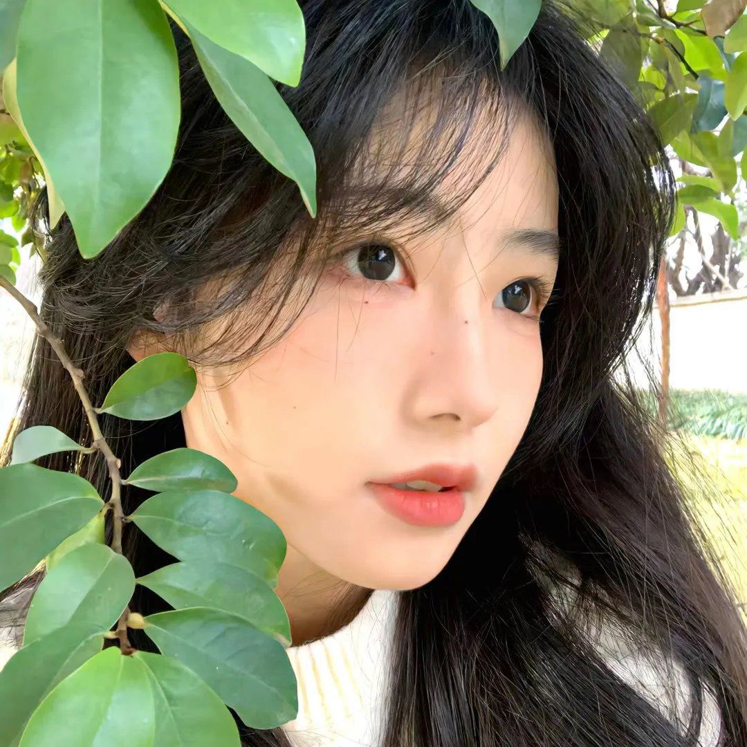 粉红蝴蝶