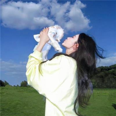小蜜蜂 勇气的旋律